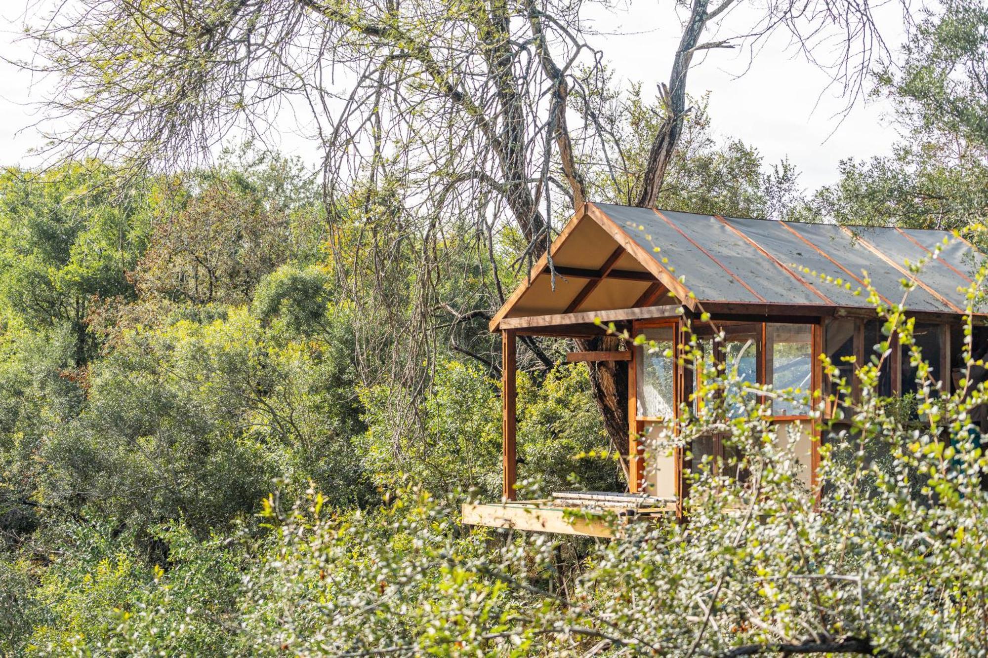 Ndzhaka Tented Camp マンイェレティ・ゲーム・リザーブ エクステリア 写真