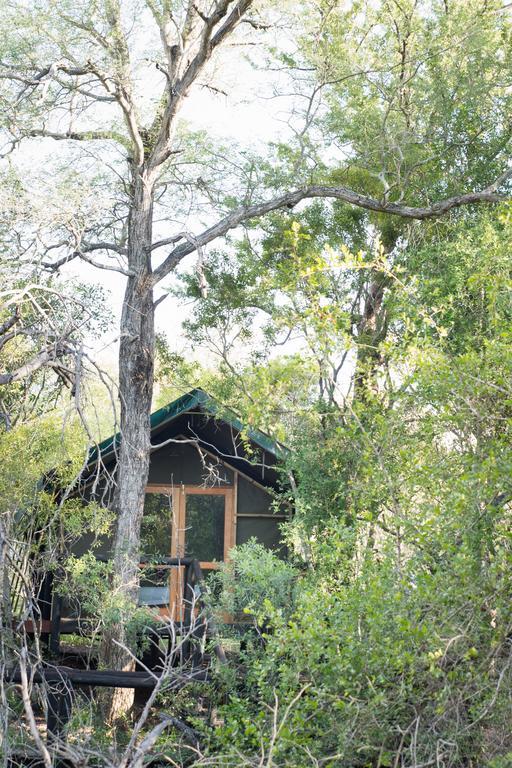 Ndzhaka Tented Camp マンイェレティ・ゲーム・リザーブ エクステリア 写真